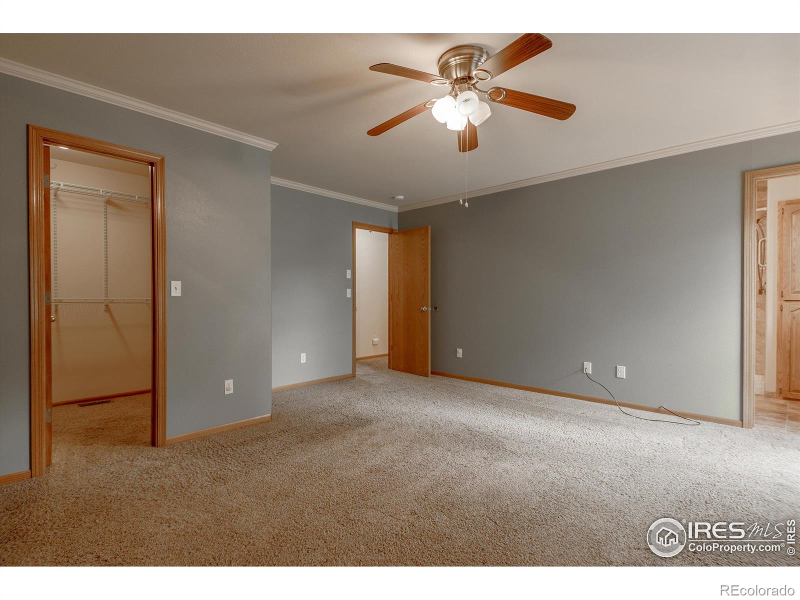 MLS Image #12 for 4445  crane court,loveland, Colorado