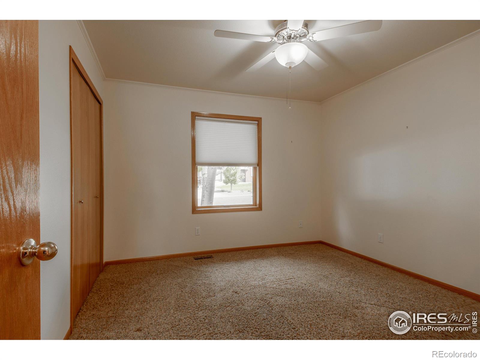 MLS Image #17 for 4445  crane court,loveland, Colorado