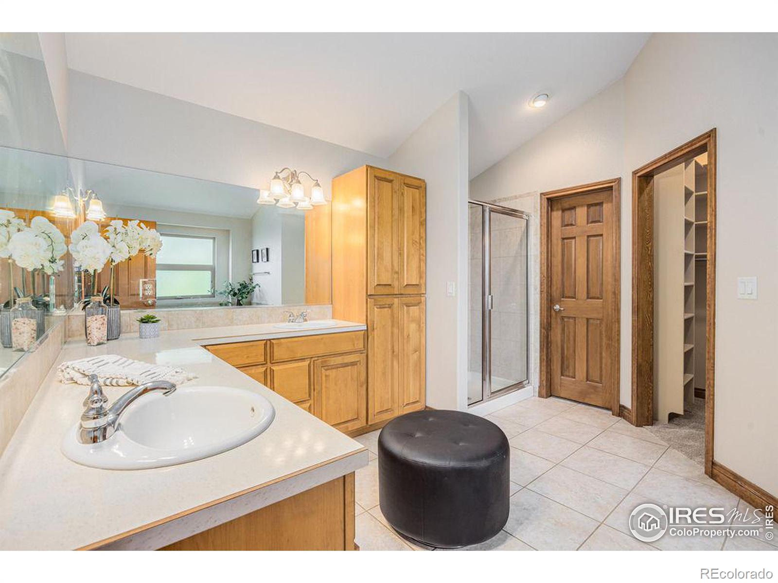 MLS Image #18 for 3708  wild view drive,fort collins, Colorado