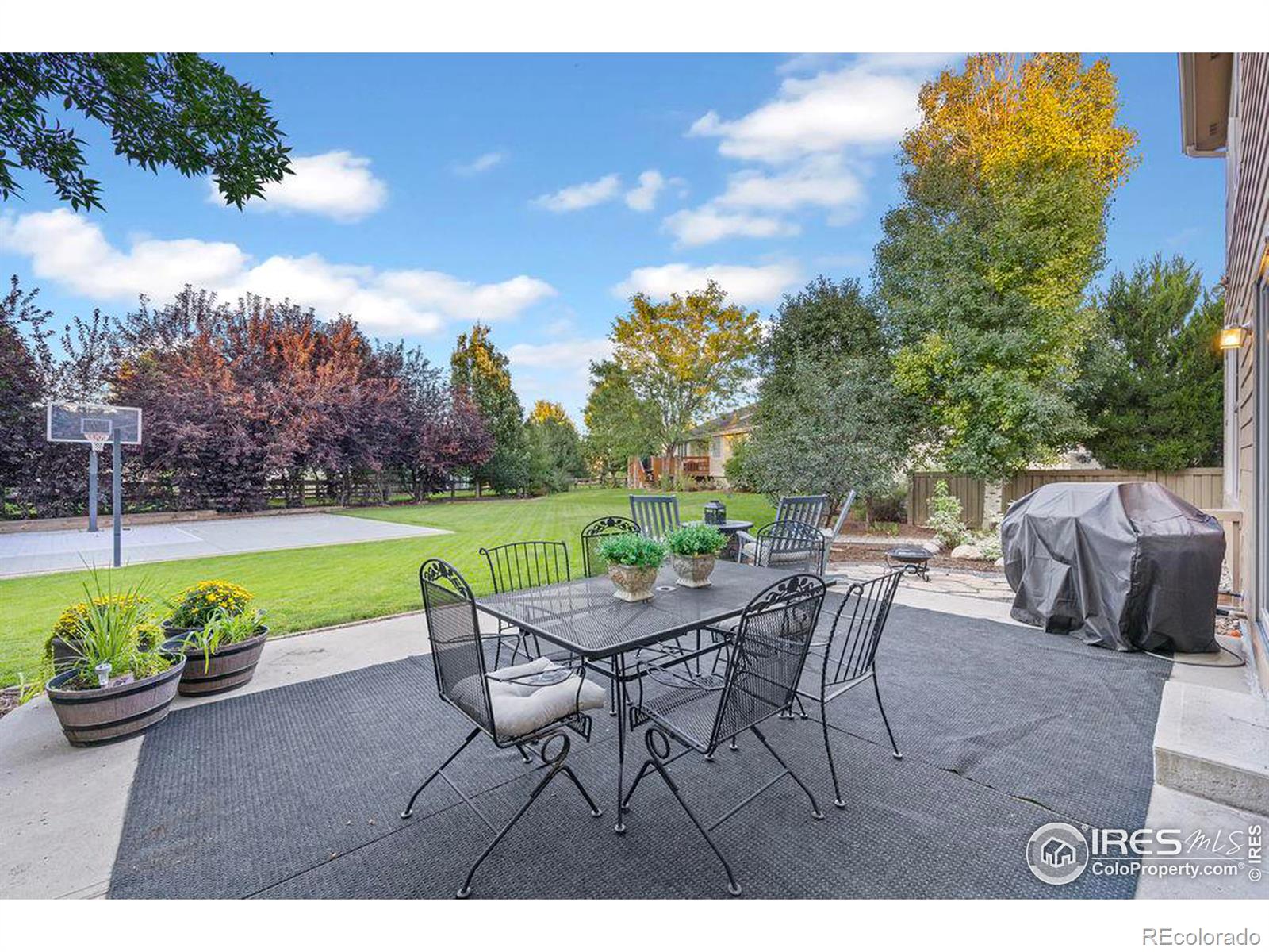 MLS Image #3 for 3708  wild view drive,fort collins, Colorado