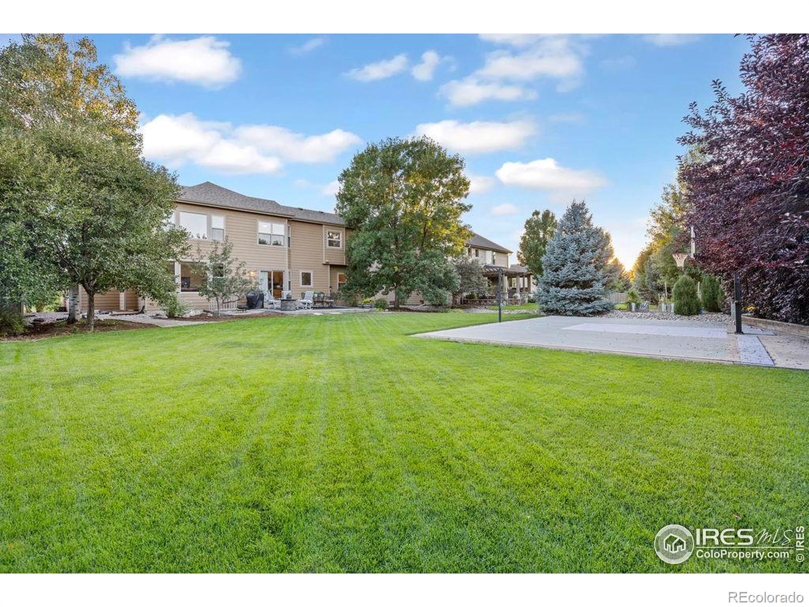 MLS Image #31 for 3708  wild view drive,fort collins, Colorado