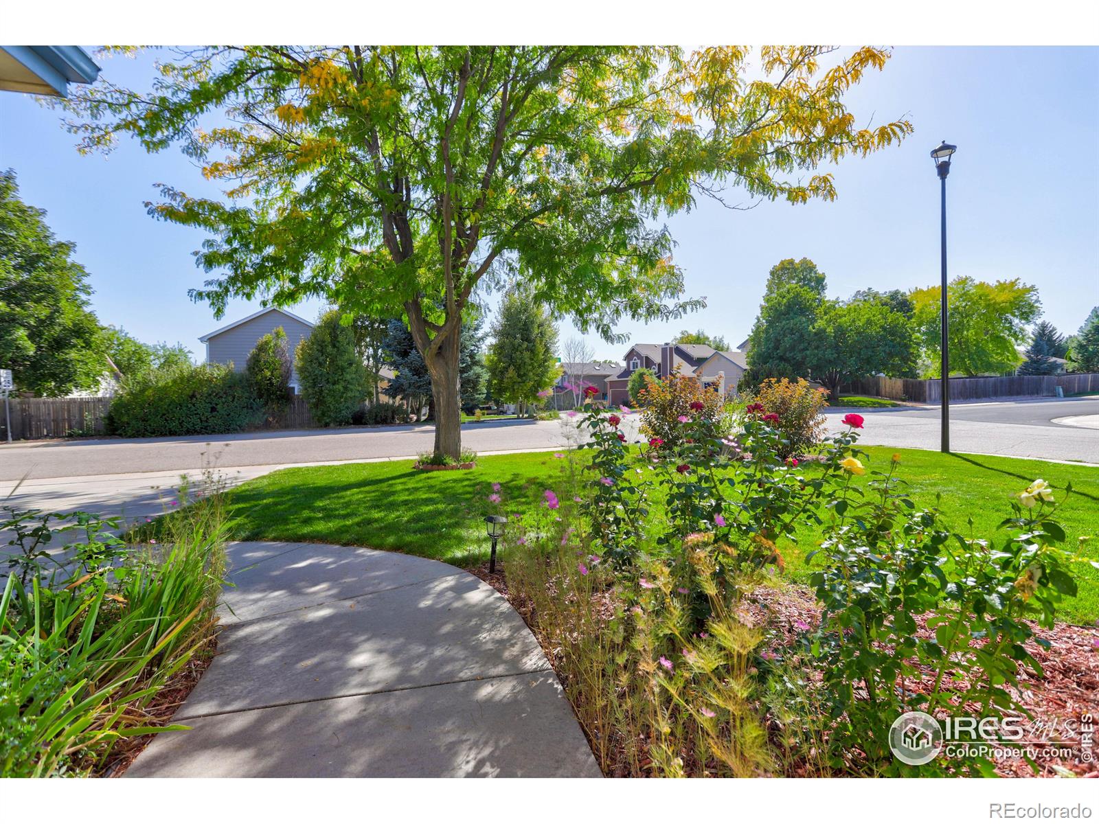 MLS Image #3 for 306  saturn drive,fort collins, Colorado