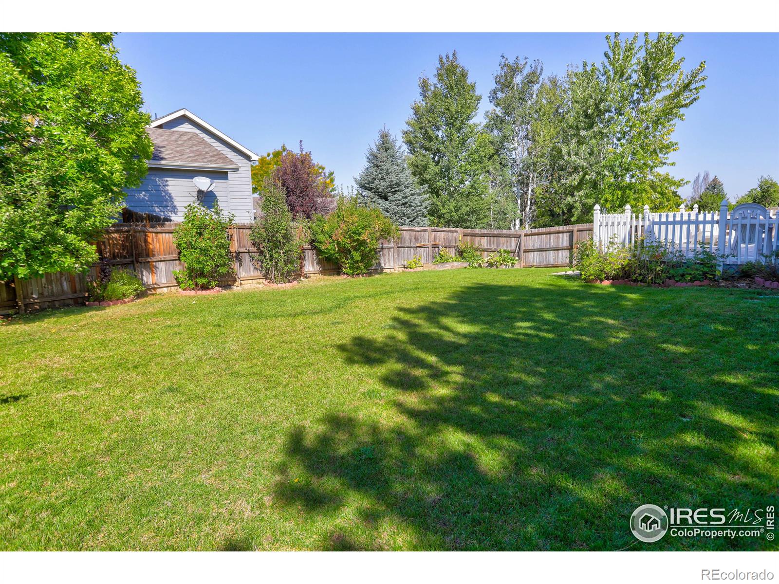 MLS Image #37 for 306  saturn drive,fort collins, Colorado