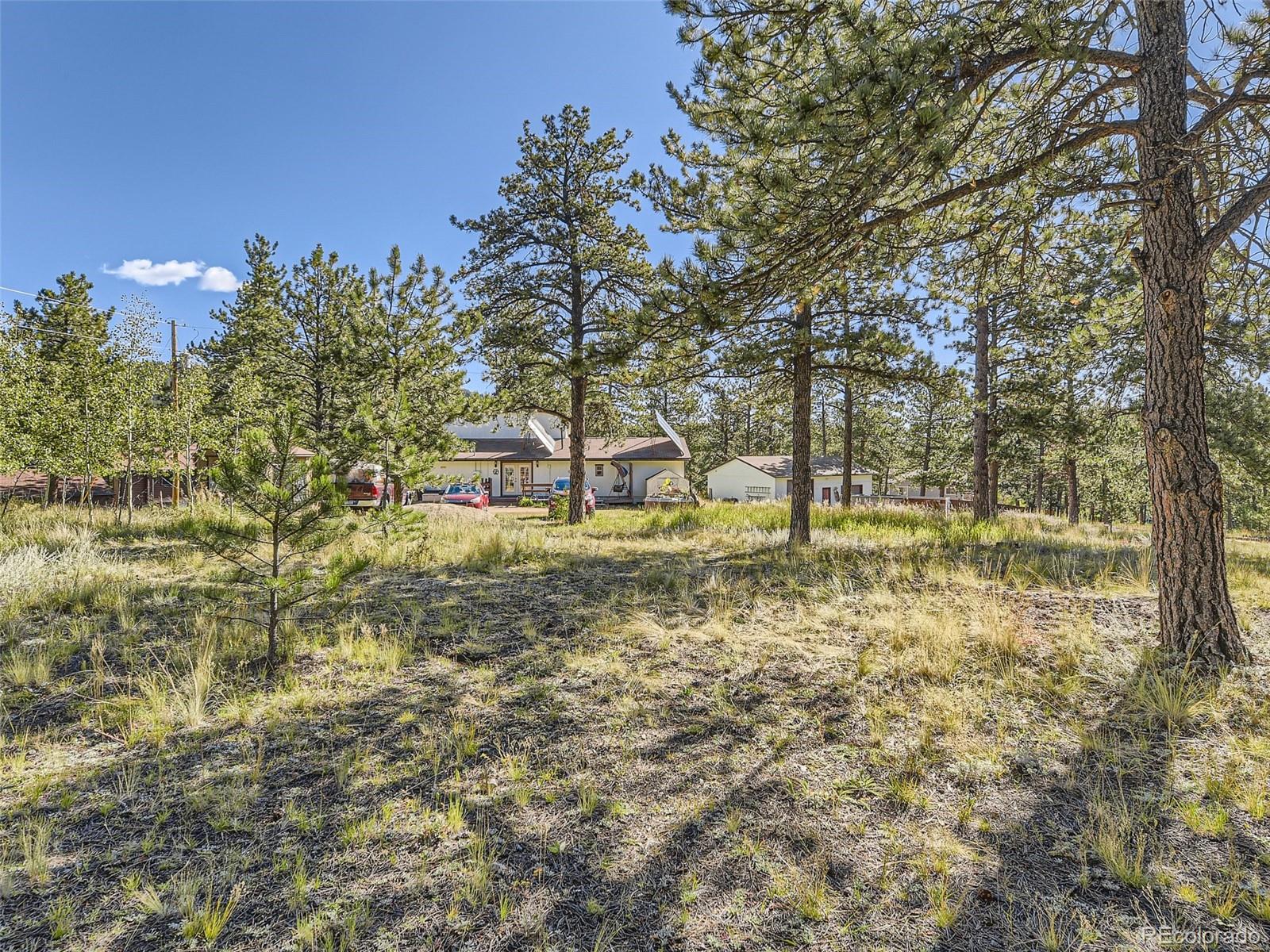 MLS Image #25 for 305  rising sun road,bailey, Colorado