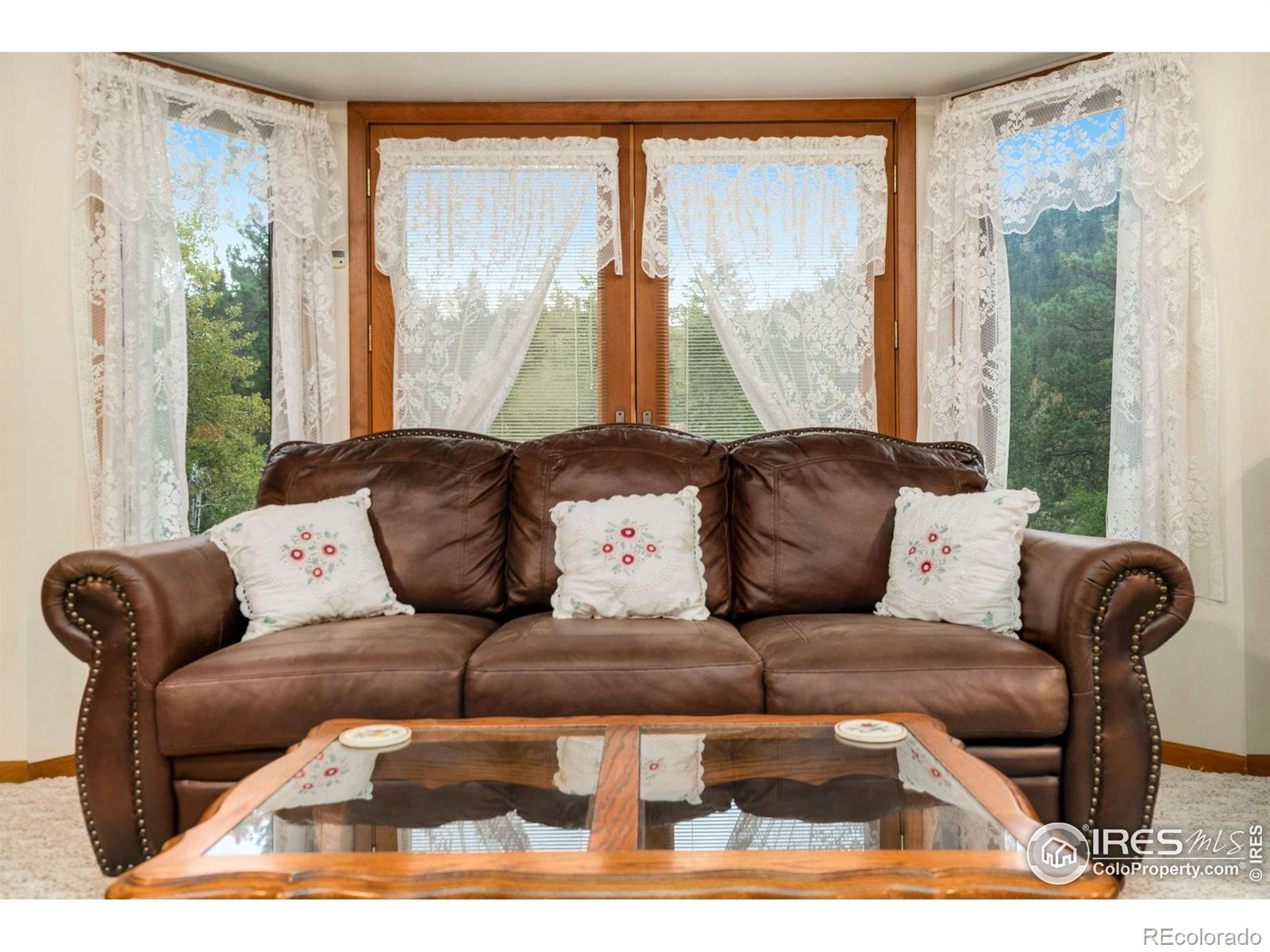 MLS Image #15 for 181  davis ranch road,bellvue, Colorado