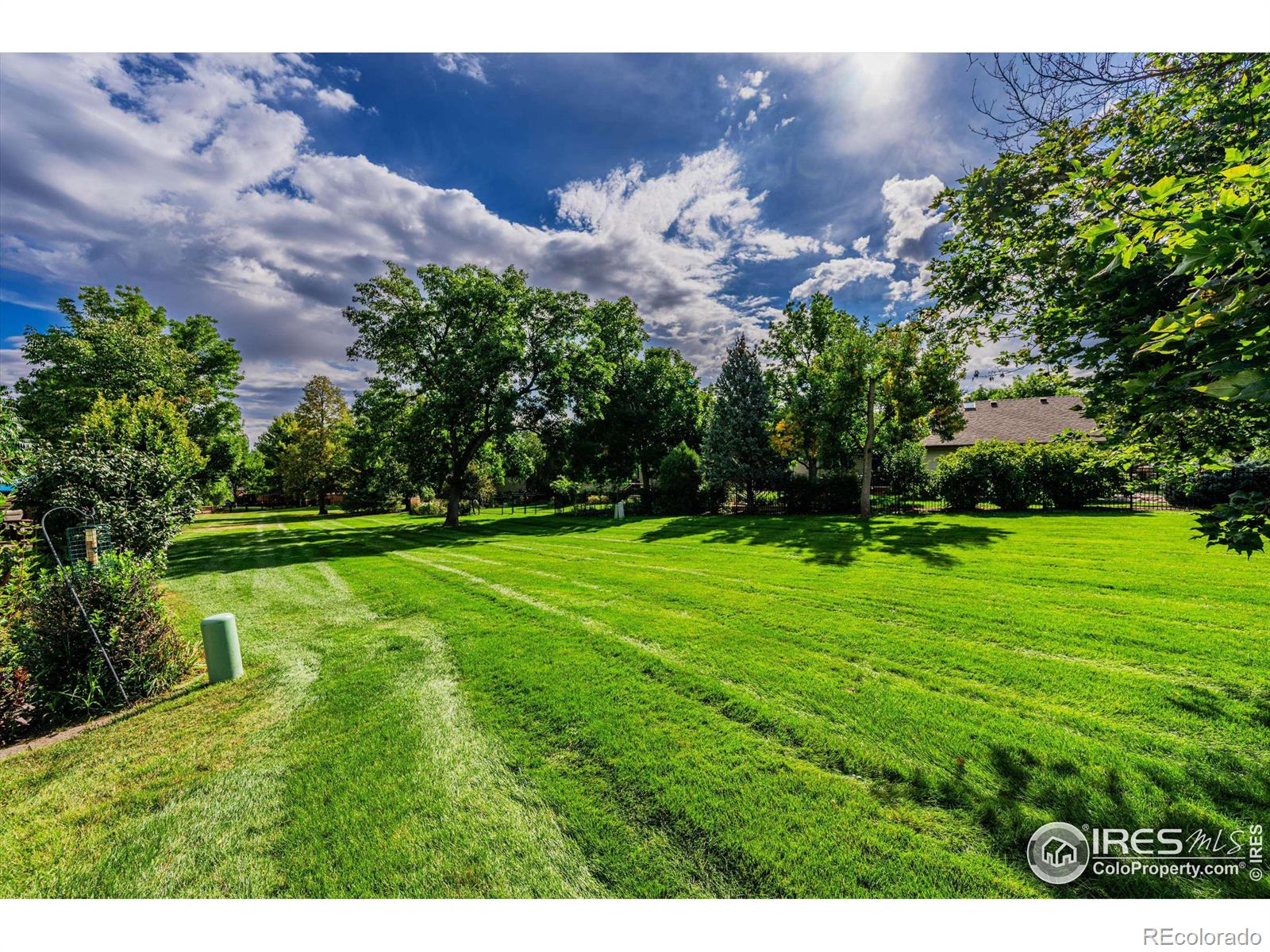 MLS Image #27 for 401  cormorant court,fort collins, Colorado