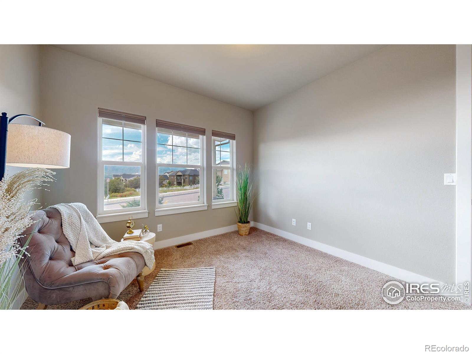 MLS Image #21 for 11739  spectacular bid circle,colorado springs, Colorado