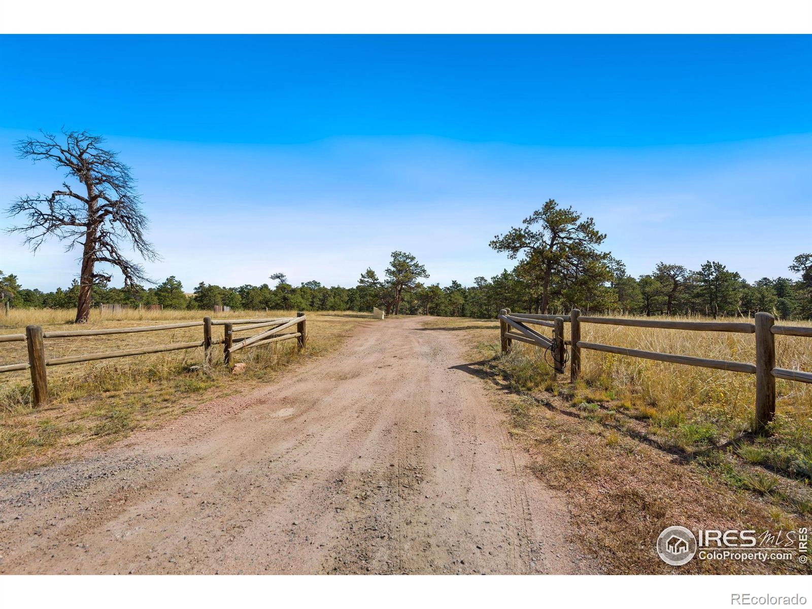 MLS Image #21 for 7770  red mountain road,livermore, Colorado