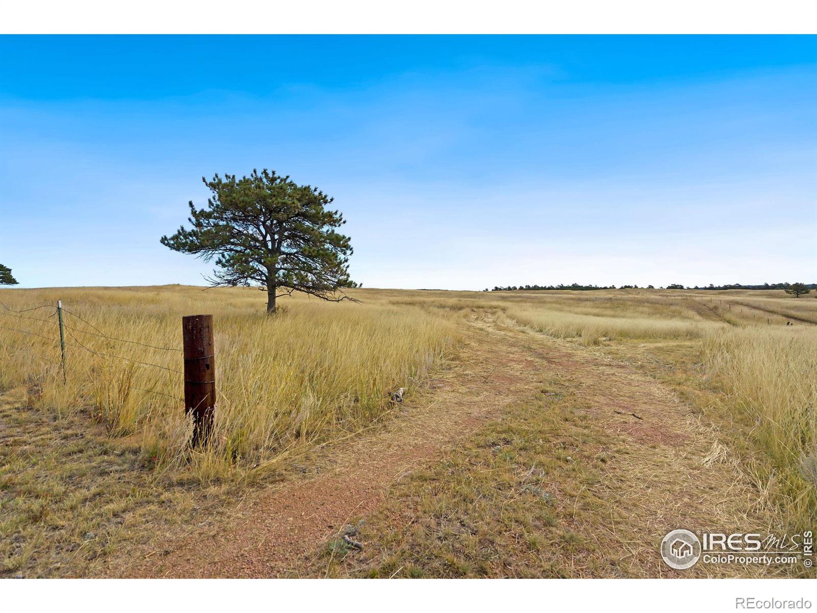 MLS Image #27 for 7770  red mountain road,livermore, Colorado