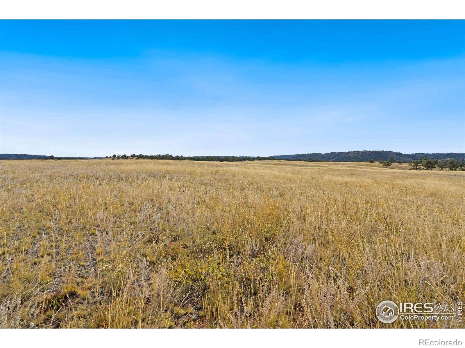 MLS Image #28 for 7770  red mountain road,livermore, Colorado