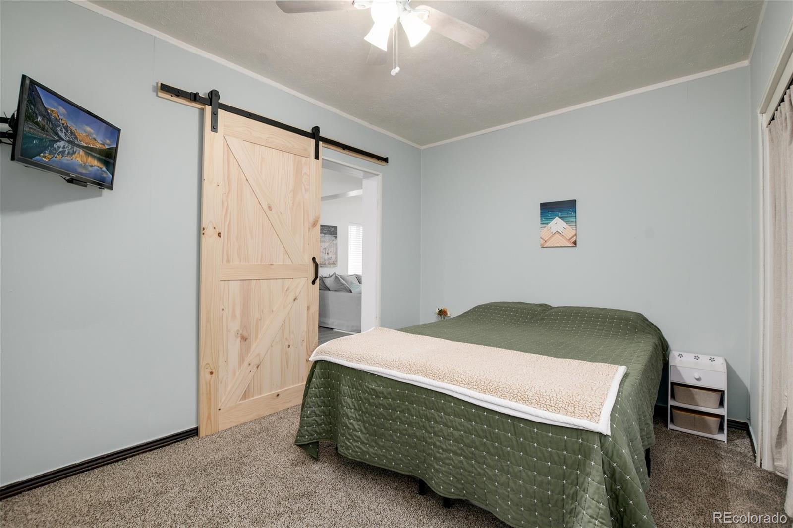 MLS Image #20 for 114  knox court,denver, Colorado