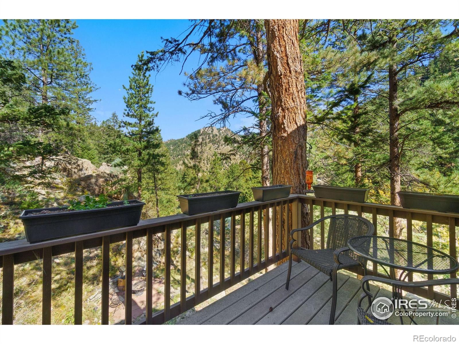 MLS Image #16 for 427  waltonia road,drake, Colorado