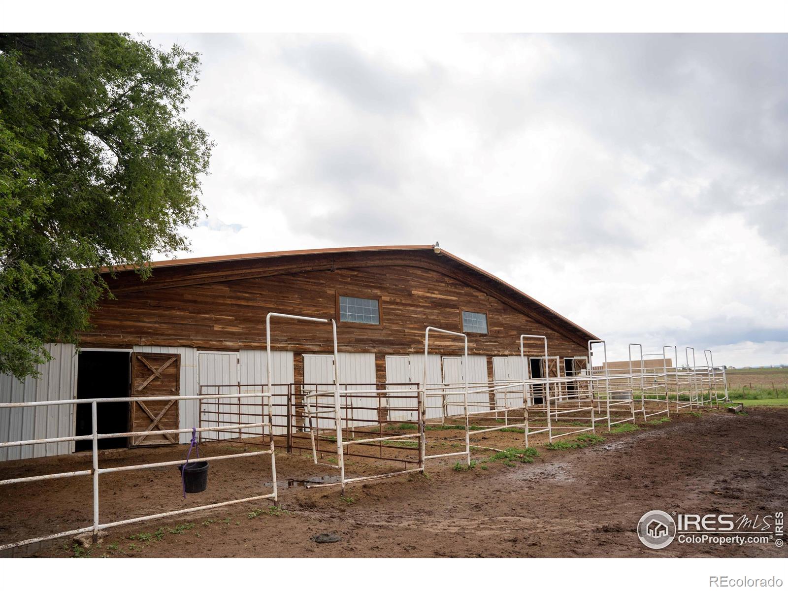 MLS Image #25 for 25473  county road 46 ,kersey, Colorado