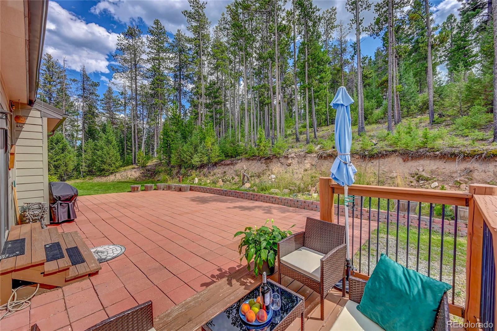 MLS Image #26 for 7525  brook forest lane,evergreen, Colorado