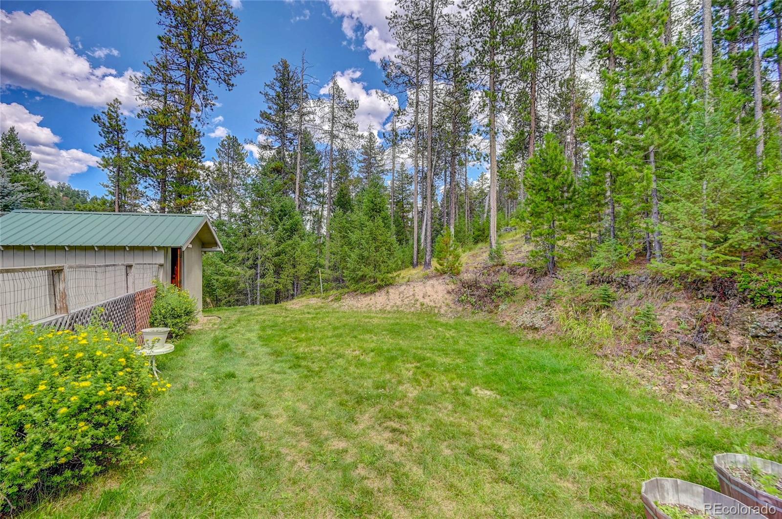 MLS Image #28 for 7525  brook forest lane,evergreen, Colorado