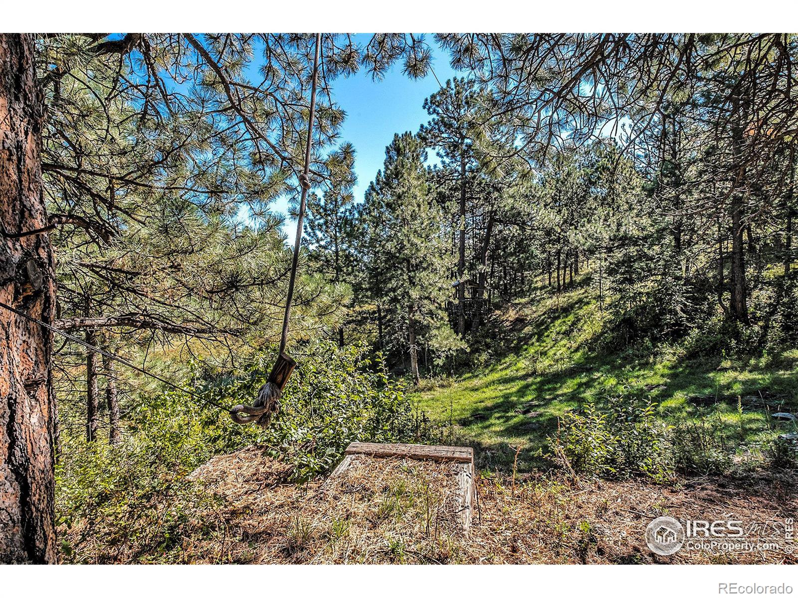 MLS Image #10 for 160  bobcat drive,drake, Colorado