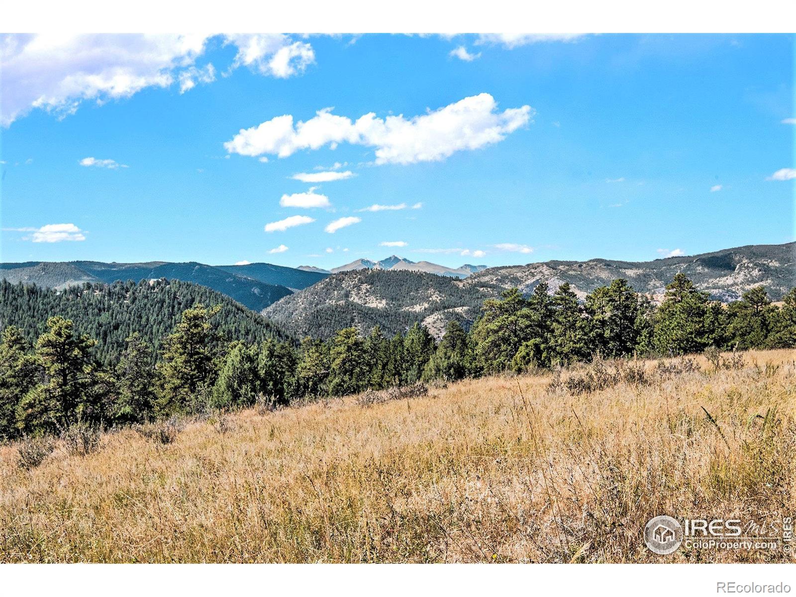 MLS Image #11 for 160  bobcat drive,drake, Colorado