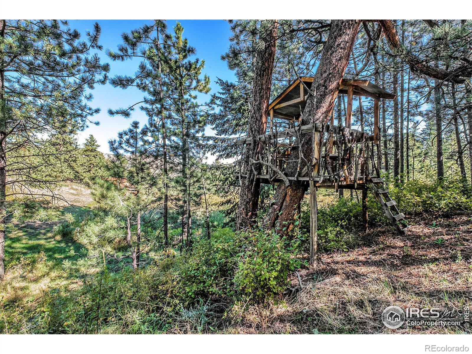 MLS Image #6 for 160  bobcat drive,drake, Colorado