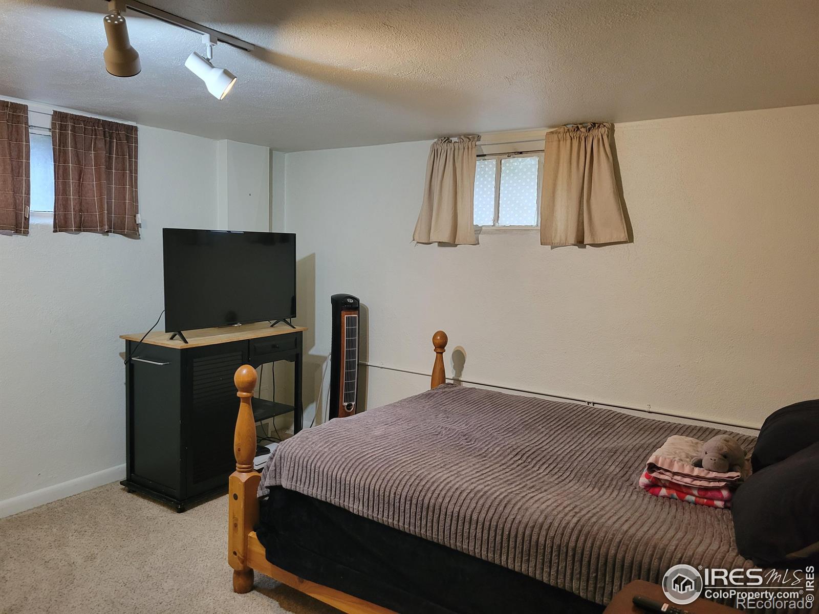 MLS Image #16 for 421  locust street,windsor, Colorado