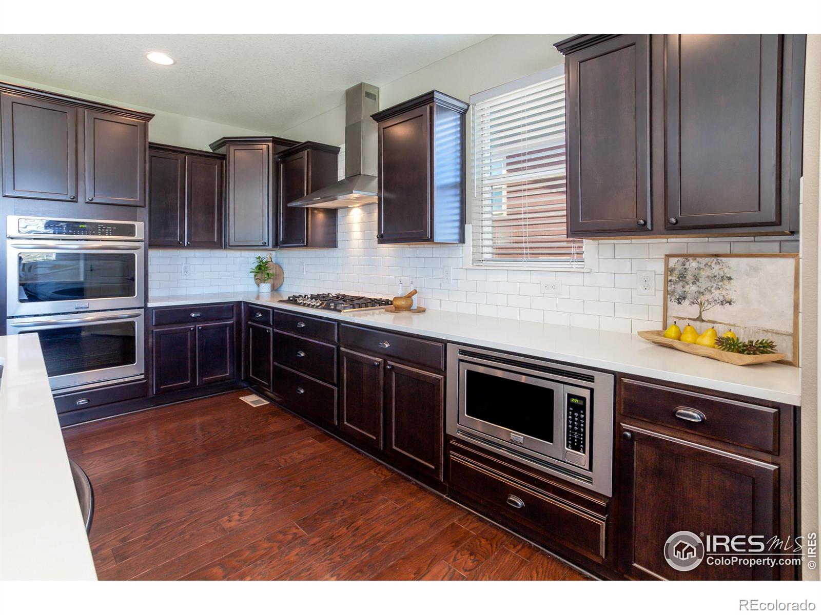 MLS Image #10 for 2253  stonefish drive,windsor, Colorado