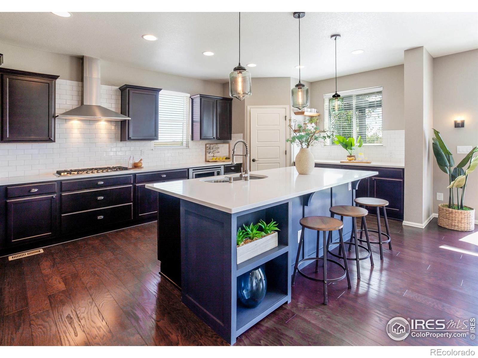 MLS Image #8 for 2253  stonefish drive,windsor, Colorado