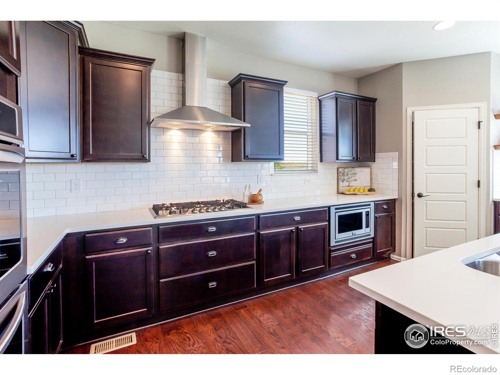 MLS Image #9 for 2253  stonefish drive,windsor, Colorado