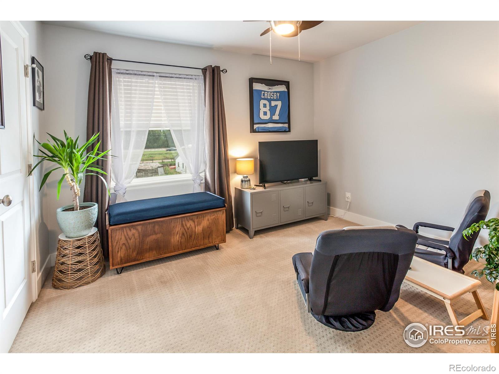 MLS Image #21 for 4070  sveta lane,wellington, Colorado