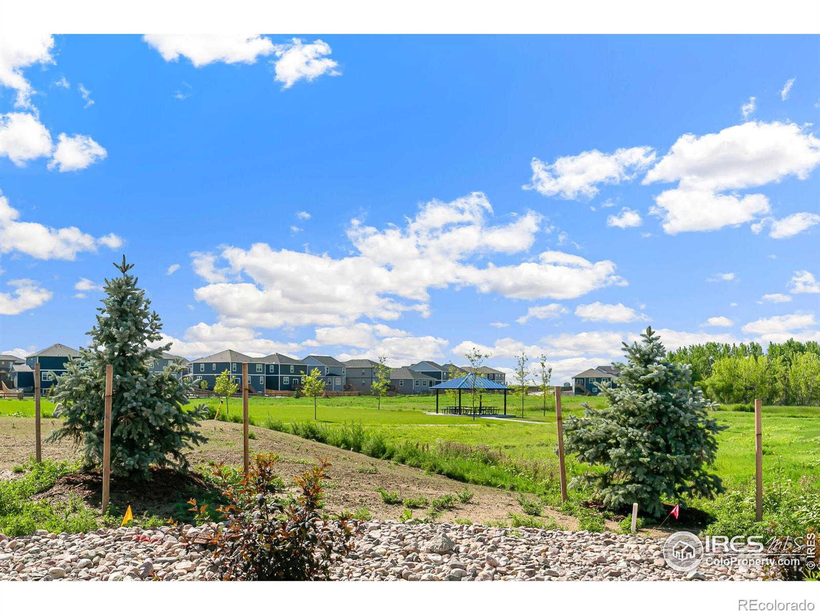 MLS Image #33 for 632  sawyers pond drive,severance, Colorado