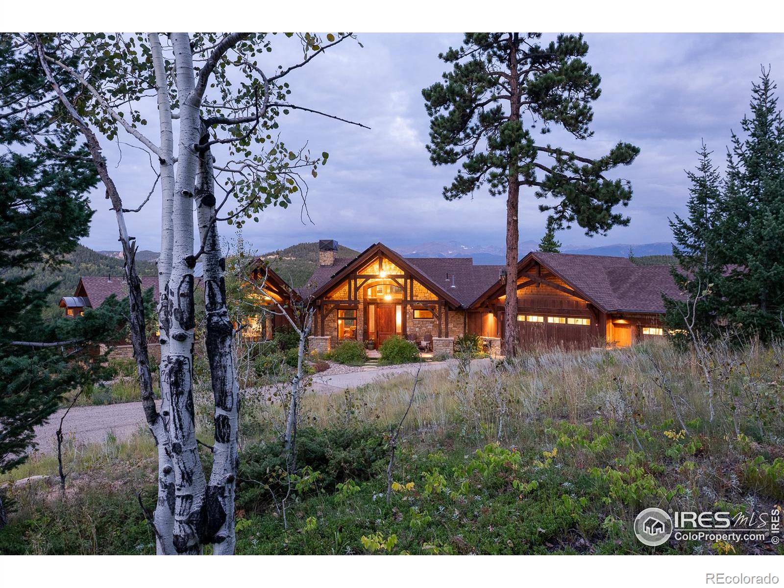 MLS Image #2 for 731  twin sisters road,nederland, Colorado