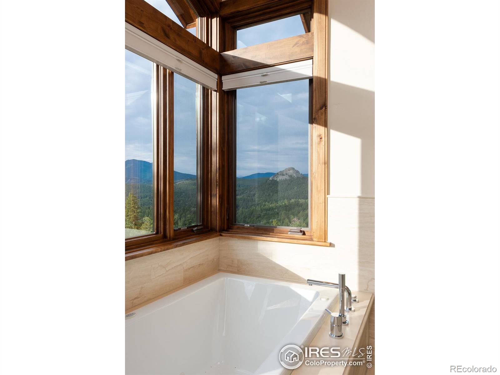 MLS Image #24 for 731  twin sisters road,nederland, Colorado