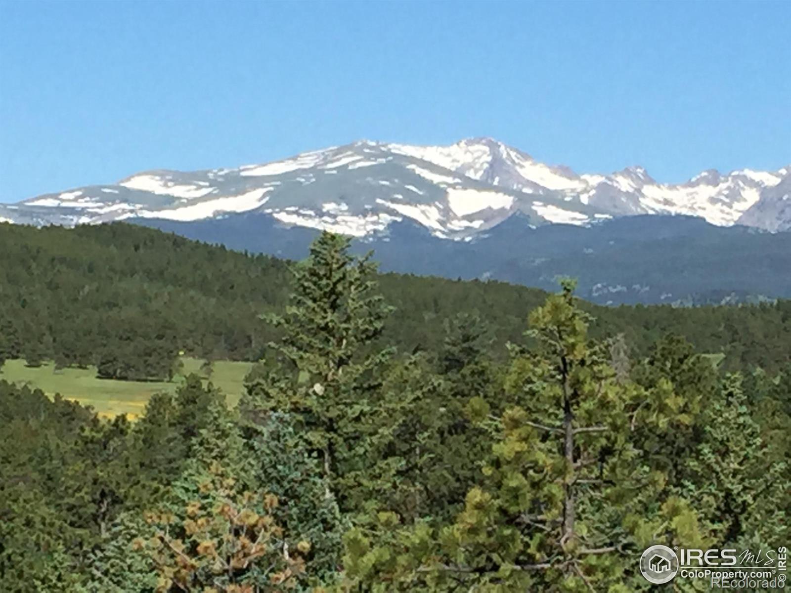MLS Image #3 for 731  twin sisters road,nederland, Colorado