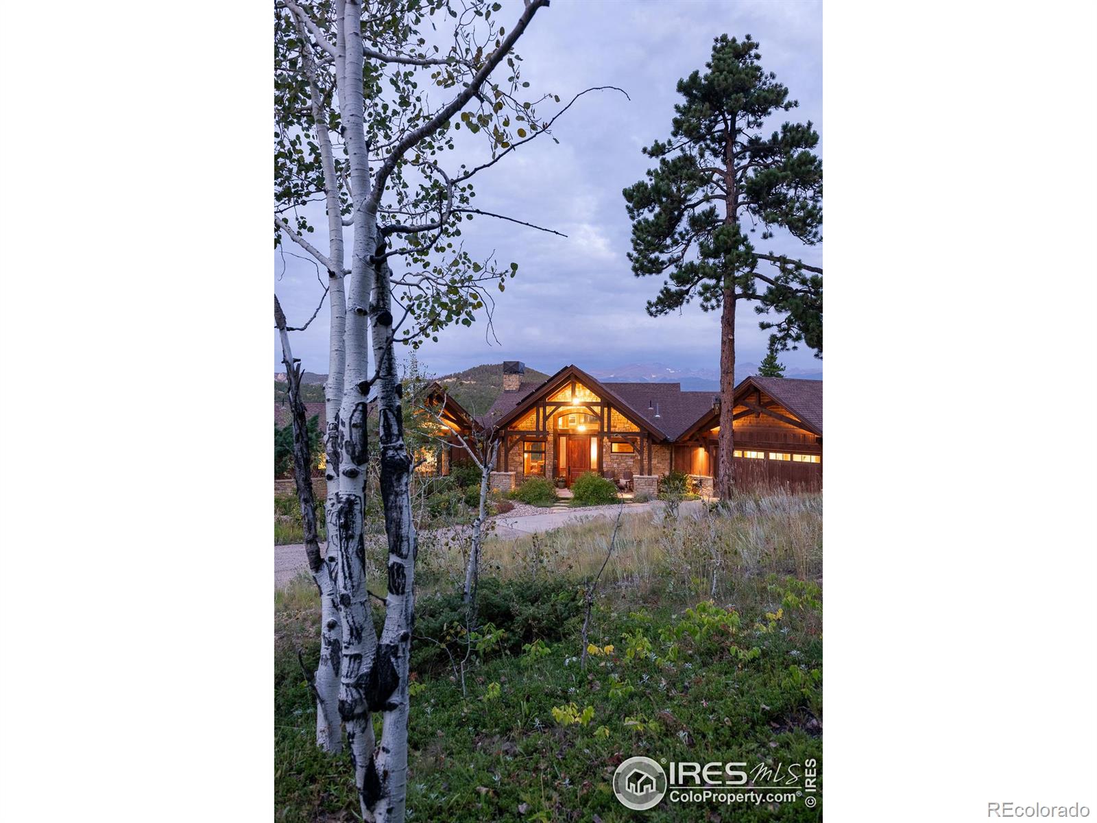 MLS Image #30 for 731  twin sisters road,nederland, Colorado