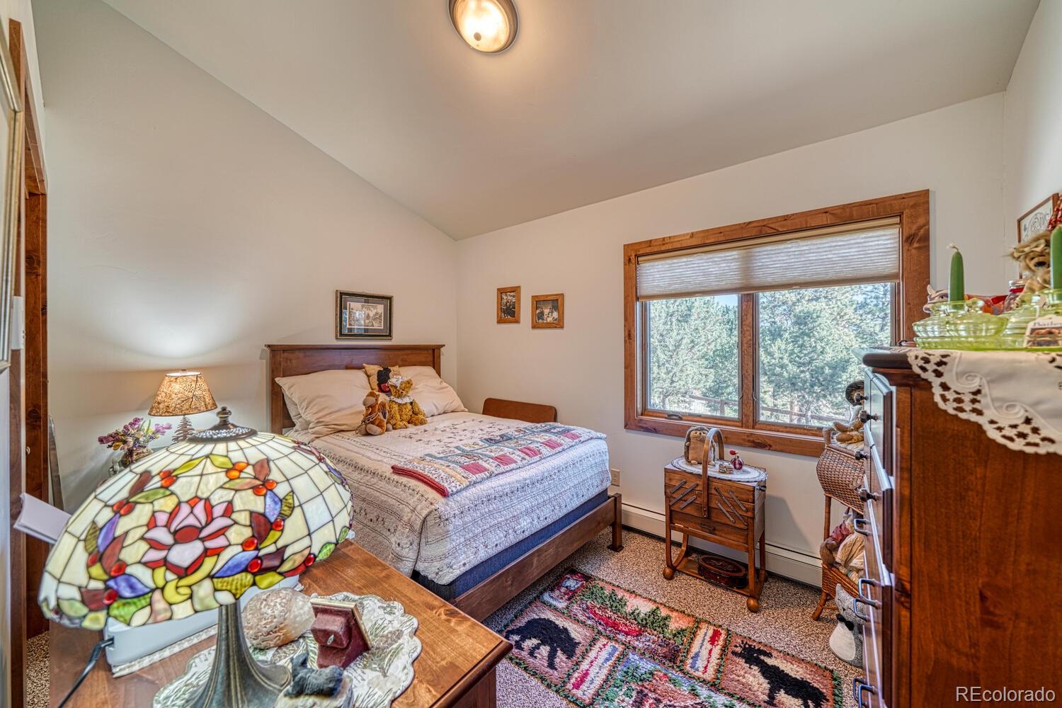 MLS Image #18 for 18325  trail west drive,buena vista, Colorado