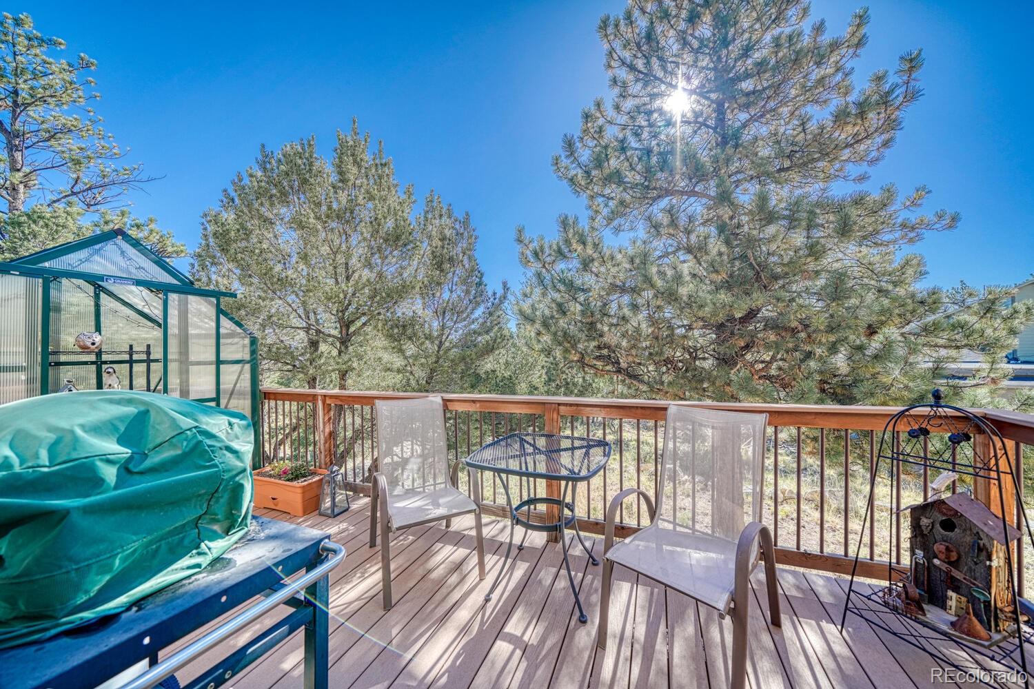 MLS Image #23 for 18325  trail west drive,buena vista, Colorado