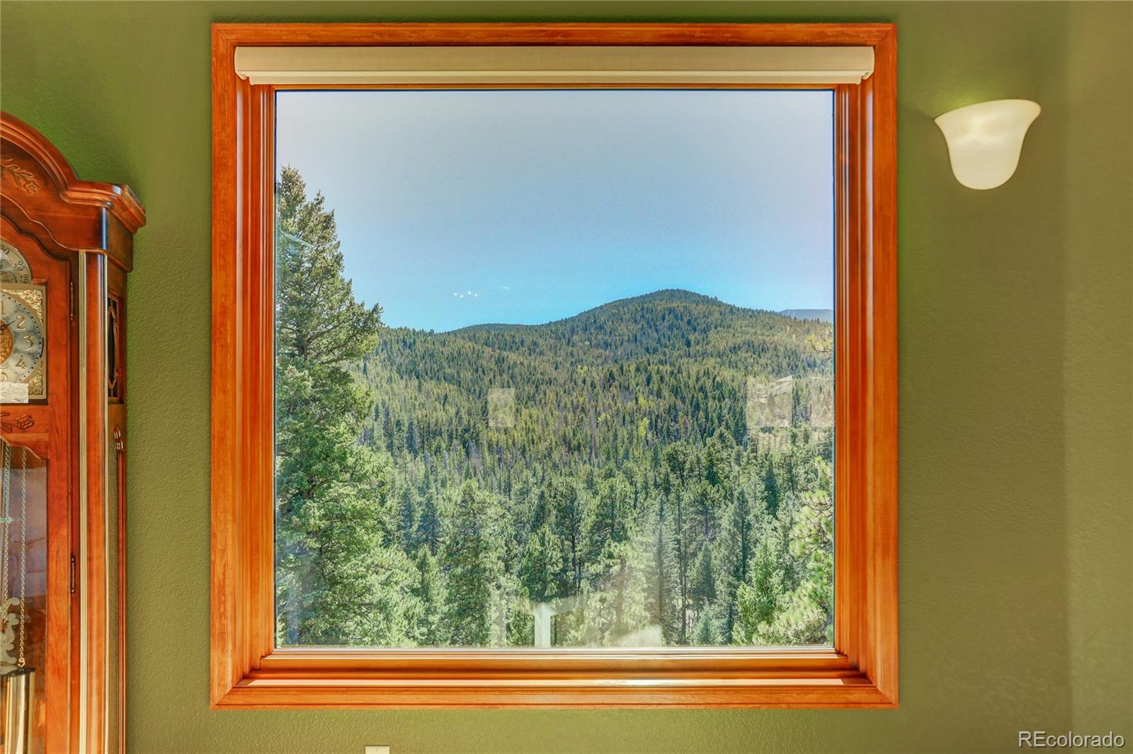 MLS Image #12 for 6925  sprucedale park way,evergreen, Colorado