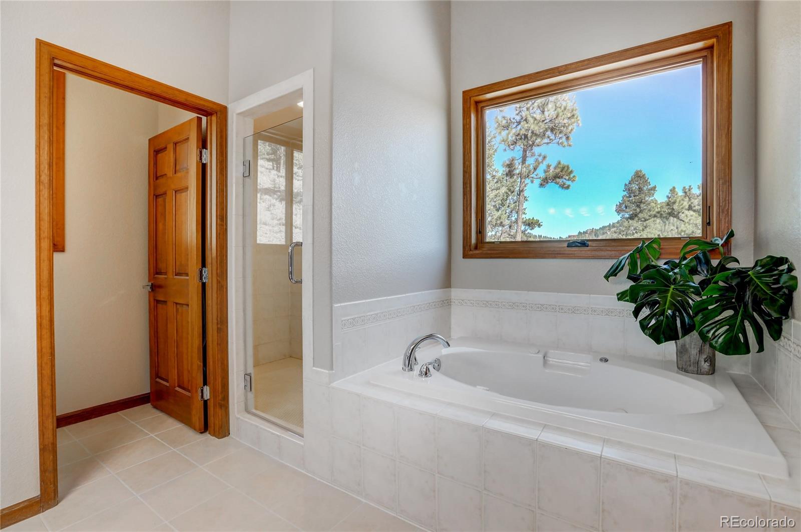 MLS Image #28 for 6925  sprucedale park way,evergreen, Colorado