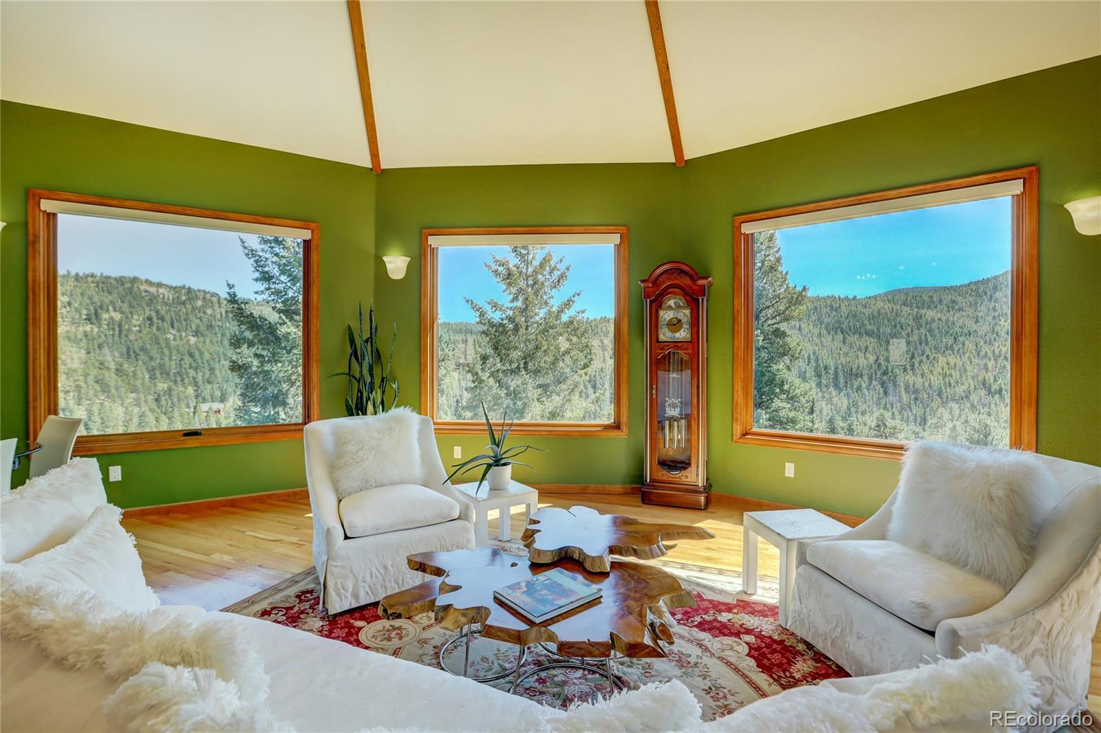 MLS Image #4 for 6925  sprucedale park way,evergreen, Colorado