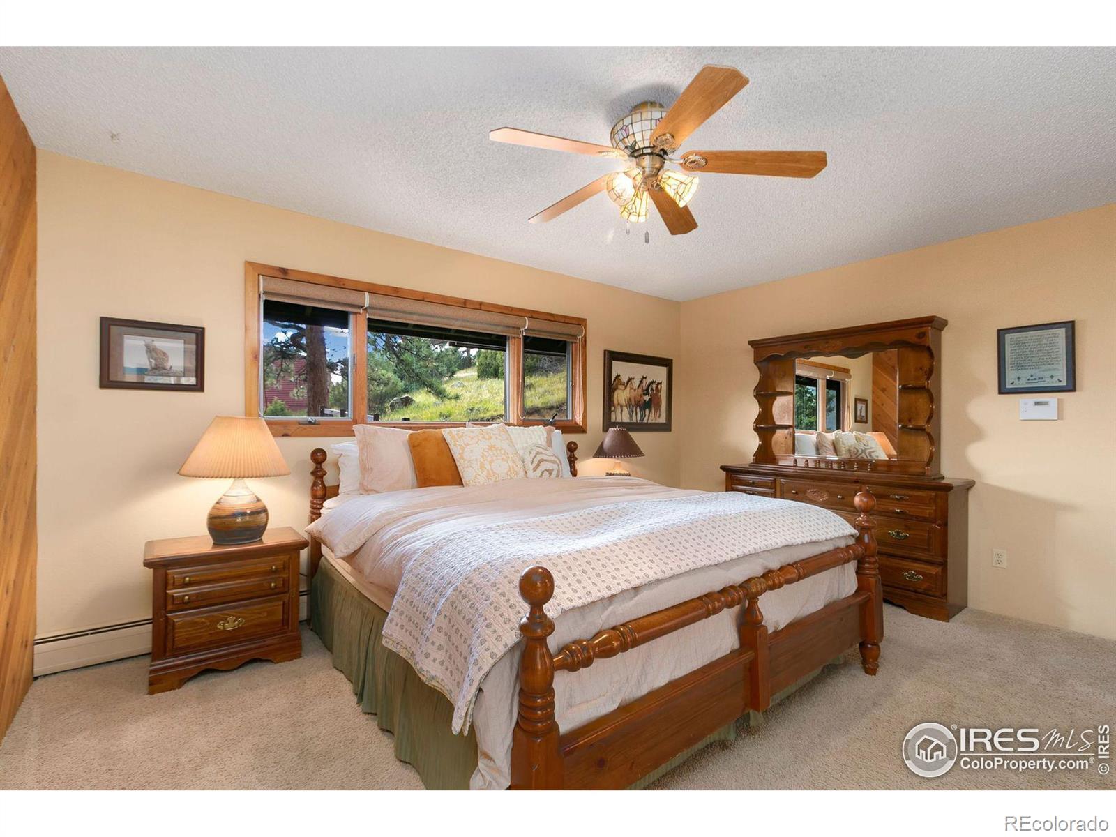 MLS Image #26 for 1433  vista view lane,estes park, Colorado