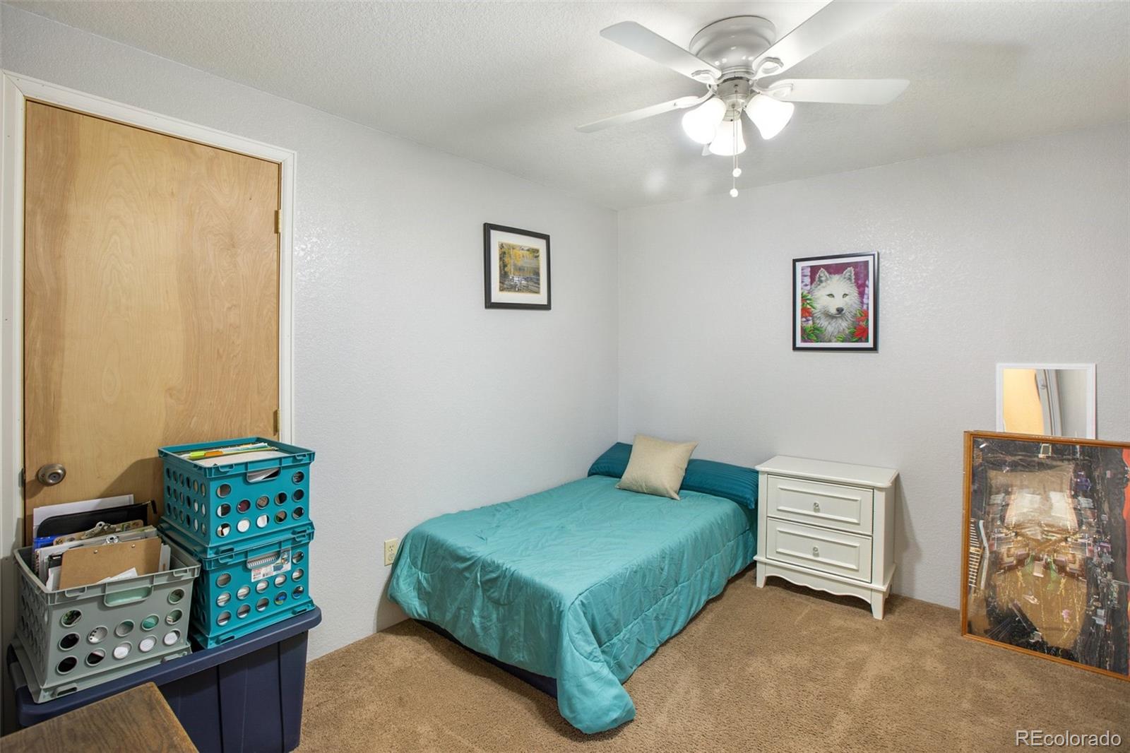 MLS Image #26 for 637  calle de la nieva ,florissant, Colorado