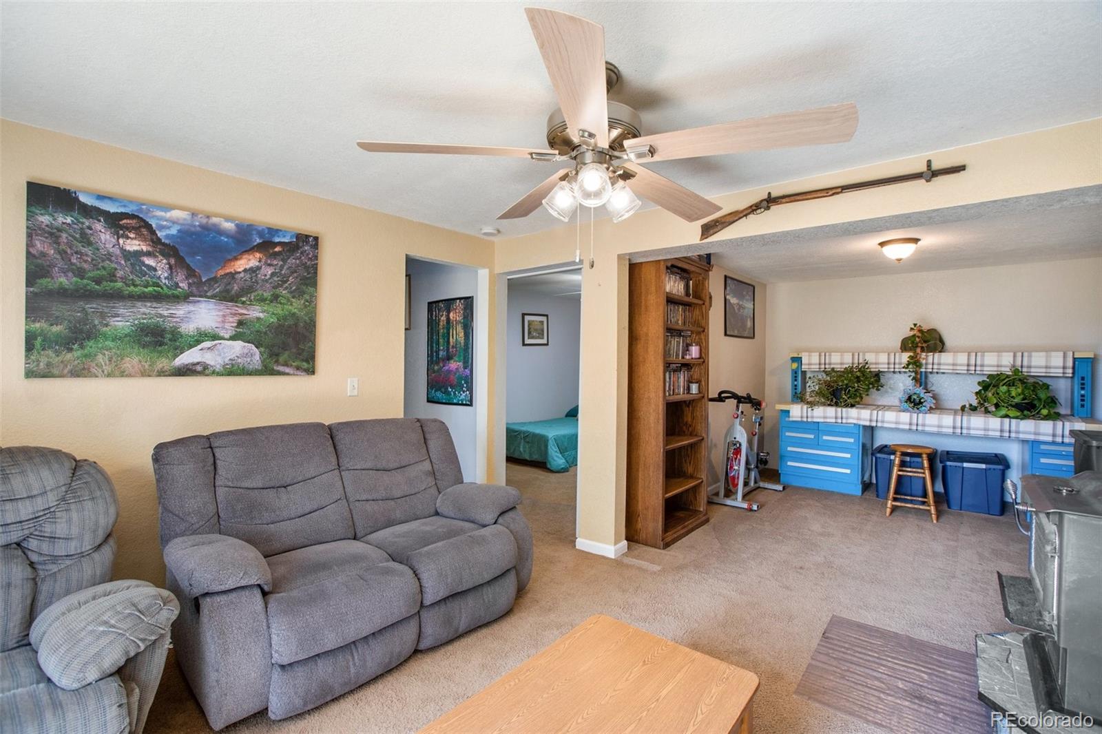 MLS Image #28 for 637  calle de la nieva ,florissant, Colorado