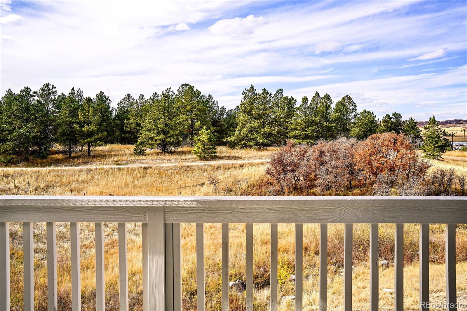 MLS Image #33 for 443  simmental loop,castle rock, Colorado