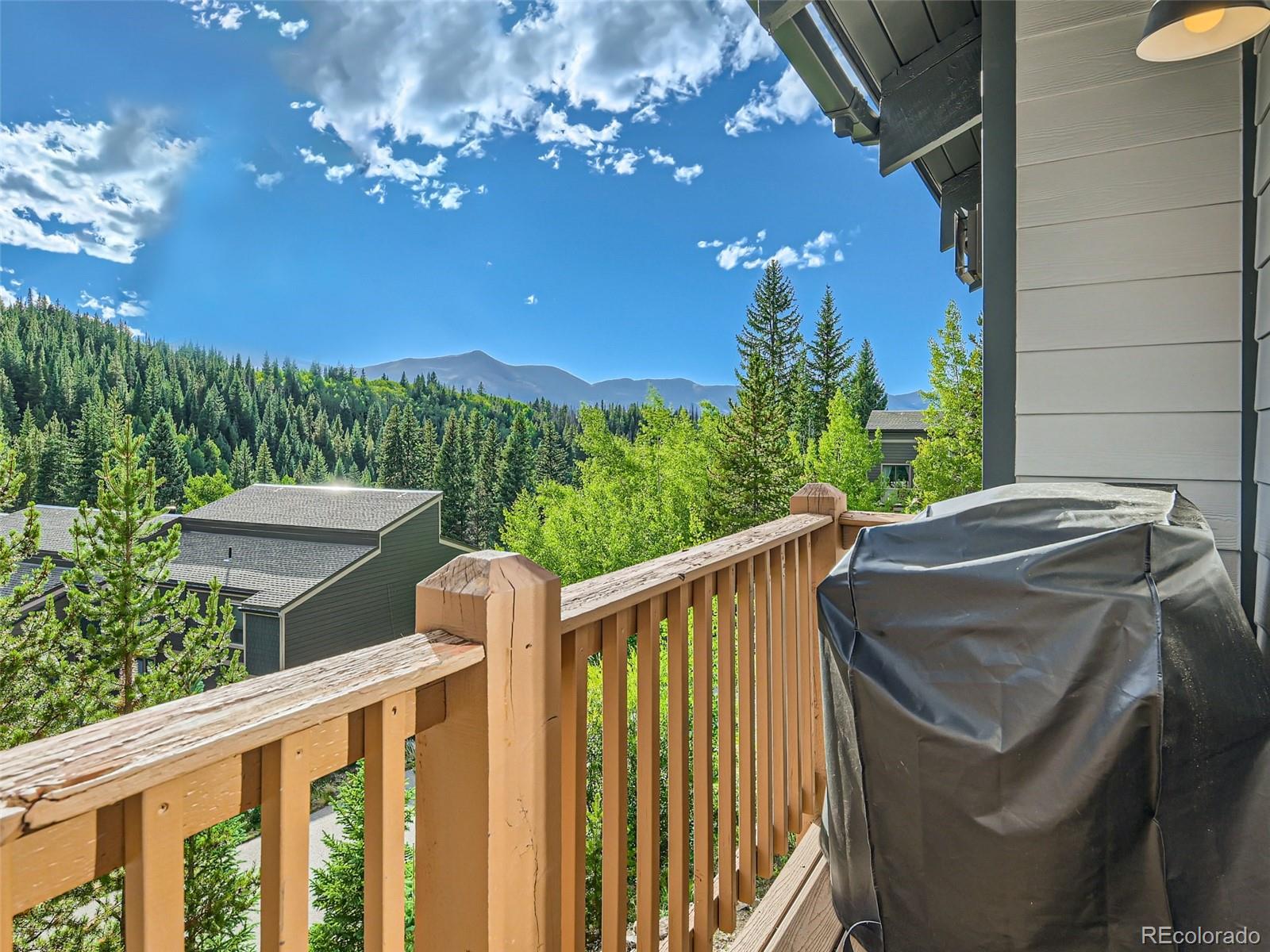 MLS Image #27 for 71  illinois gulch road,breckenridge, Colorado