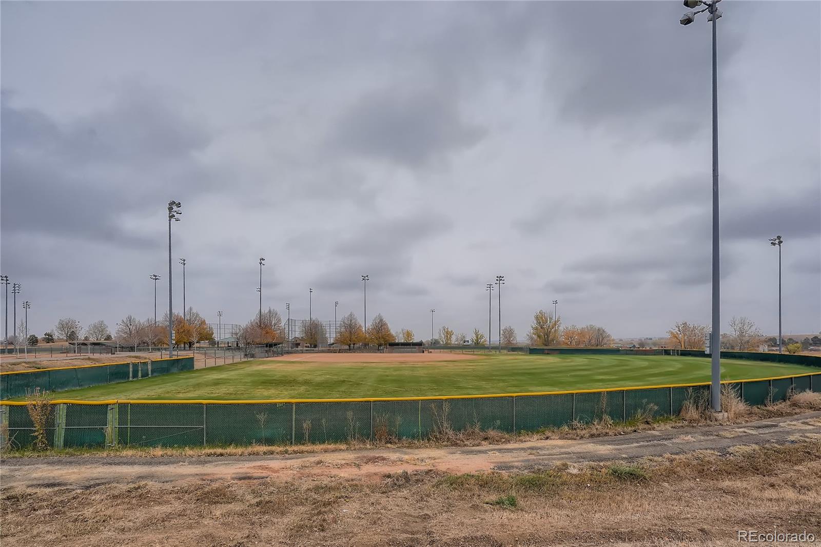MLS Image #32 for 939 w alder street,louisville, Colorado