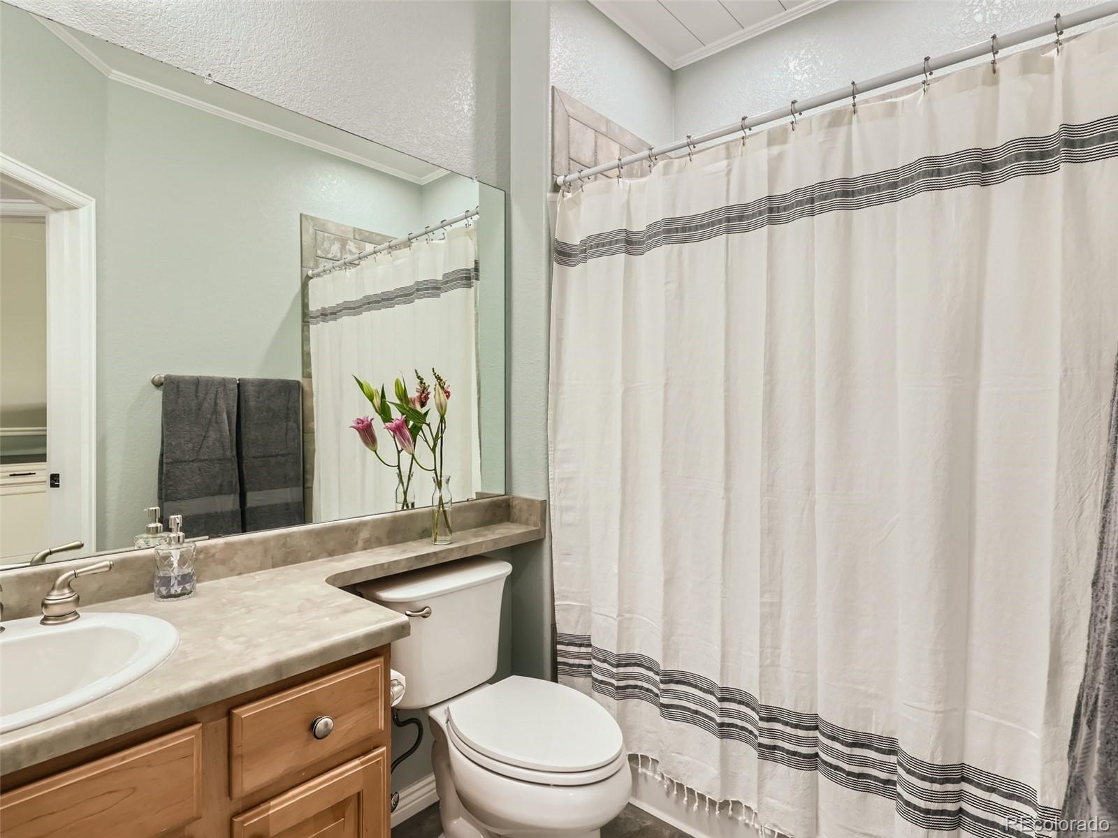 MLS Image #10 for 7693 s duquesne way,aurora, Colorado