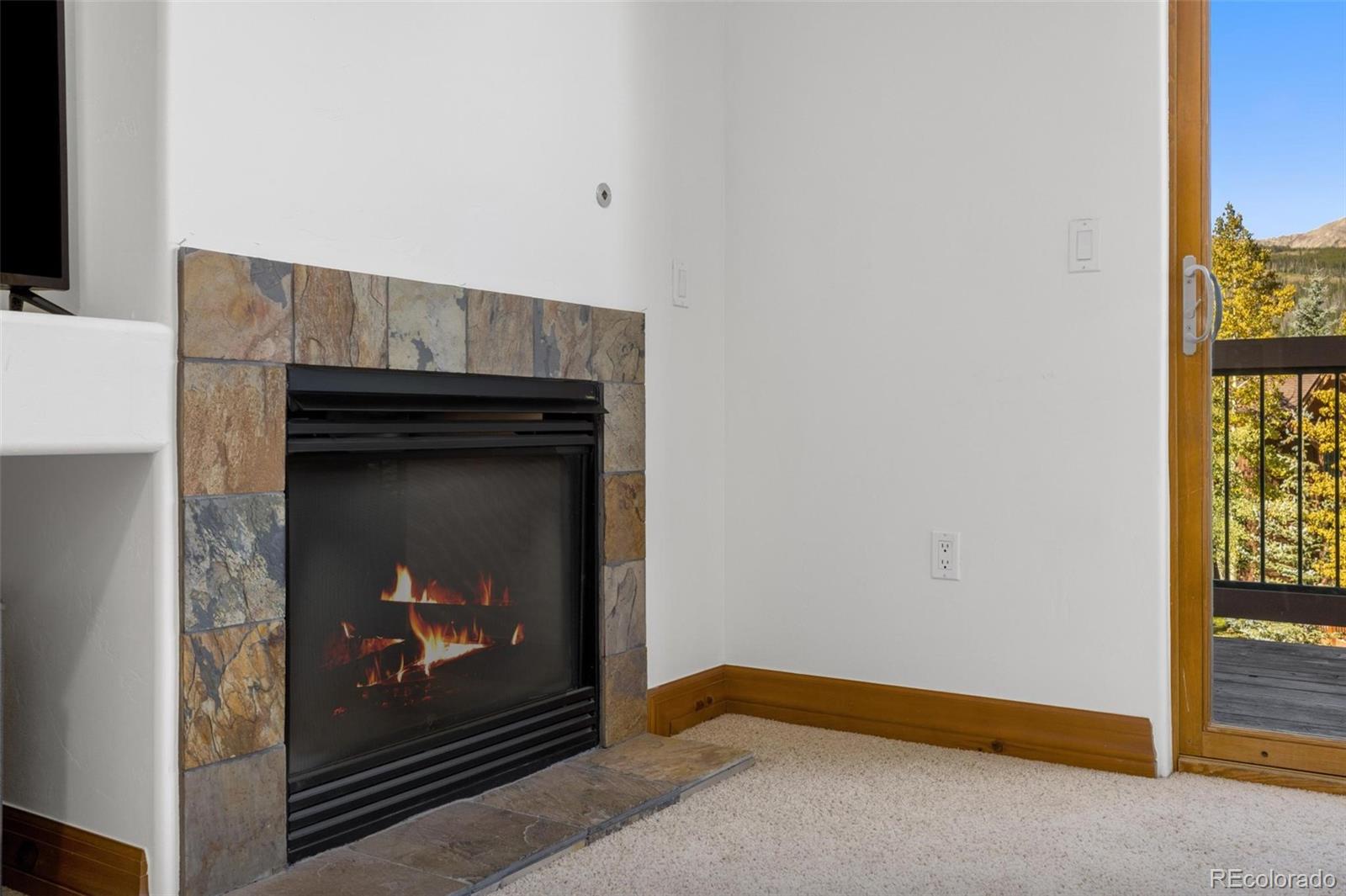 MLS Image #15 for 34  highfield trail 315,breckenridge, Colorado