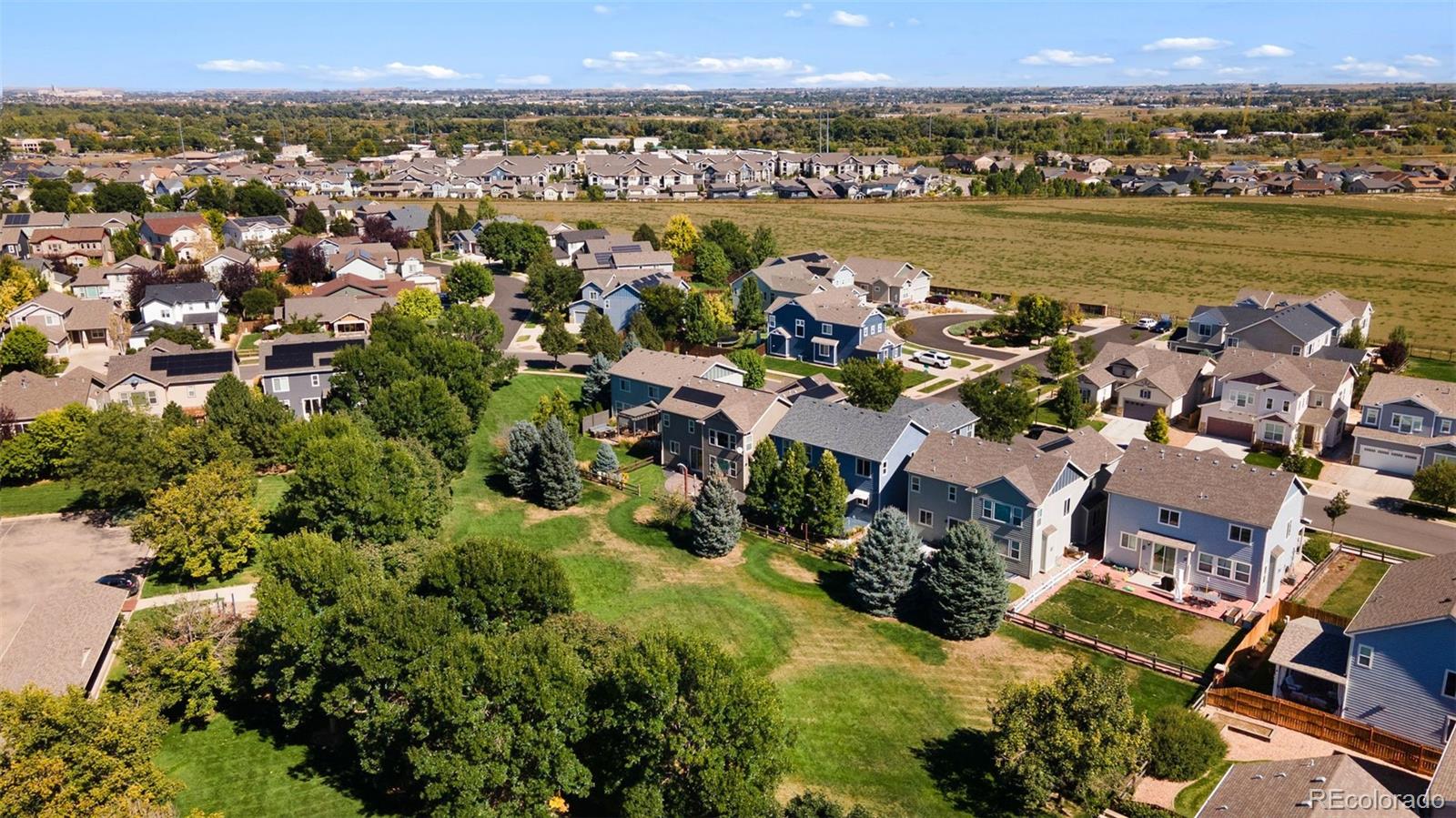 MLS Image #26 for 2503  iowa drive,fort collins, Colorado