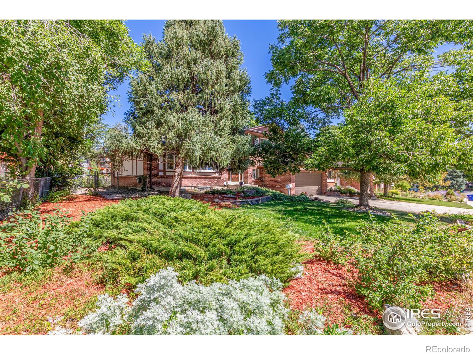 MLS Image #3 for 1458 s ward street,lakewood, Colorado