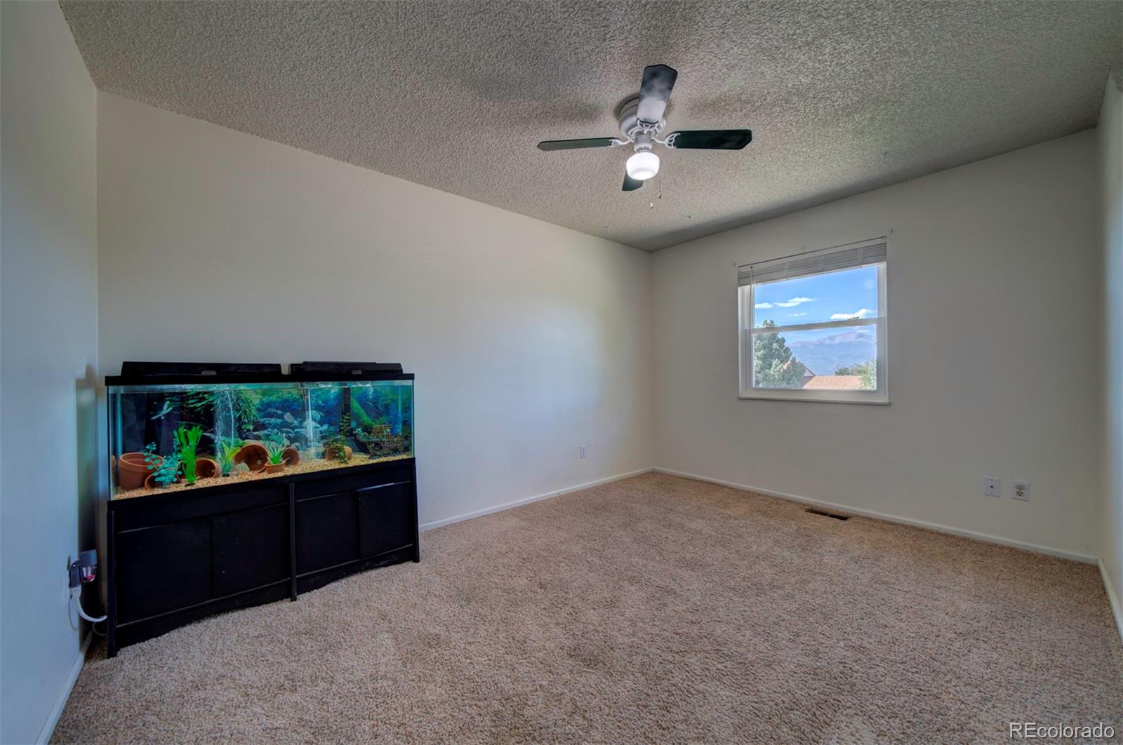 MLS Image #13 for 4485  bell flower drive,colorado springs, Colorado