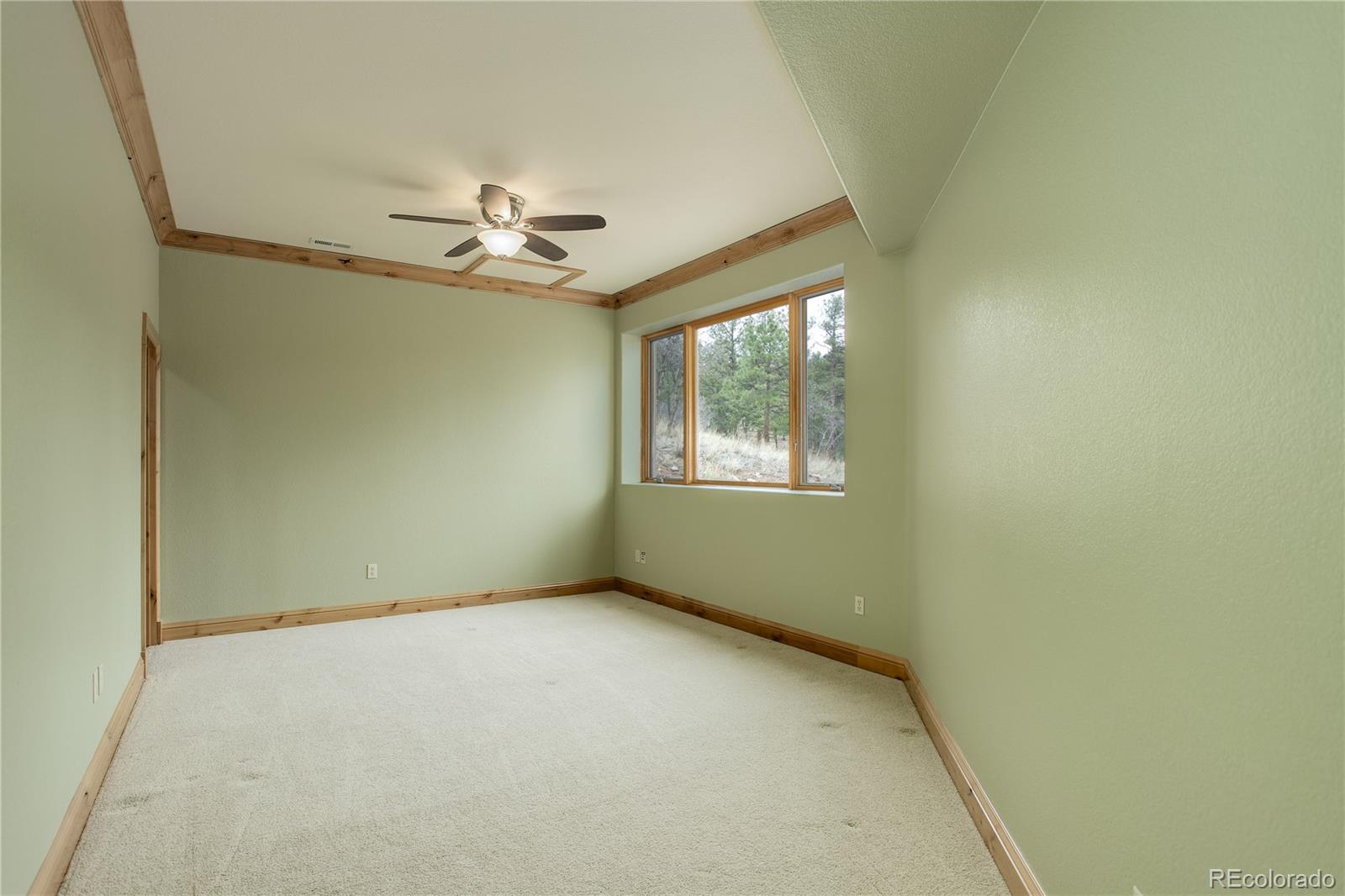 MLS Image #27 for 4450  monitor rock lane,colorado springs, Colorado