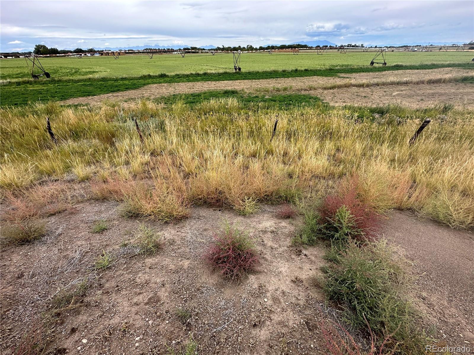 MLS Image #21 for 3759  county road 27 ,monte vista, Colorado